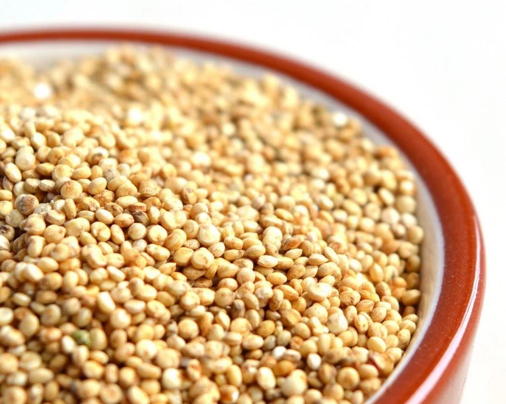 Quinoa: The Complete Protein Grain - one of the 7 Power Foods to Supercharge Your Muscle Growth (Backed by Science)