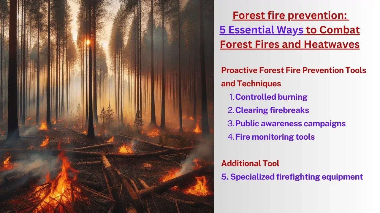 Forest fire prevention 5 Essential Ways to Combat Forest Fires and Heatwaves