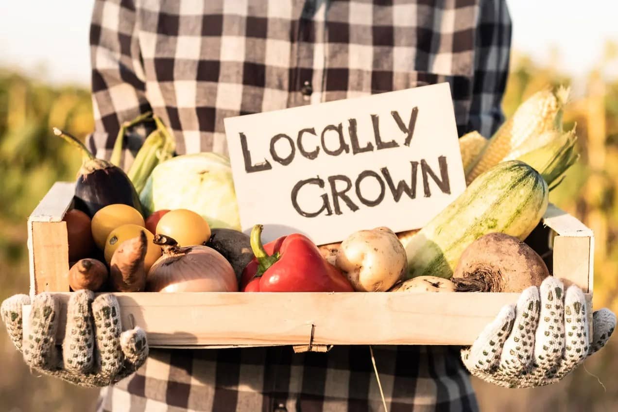 Buy Local and Seasonal Produce - Eco-Friendly Living 